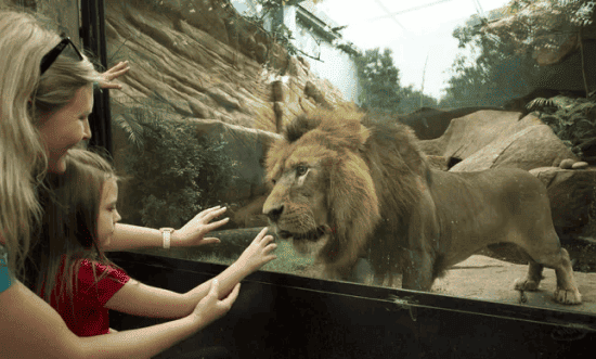 Zoológico do Rio